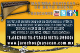 Marimba Guayacan foto 2