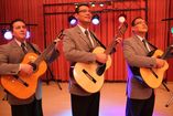 Trio de Boleros y Guitarras foto 1