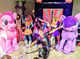 SORPRENDENTE SHOW DE EQUESTRIA foto 1