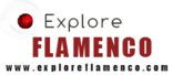 Explore Flamenco: Cultural Sho foto 2