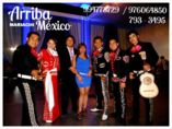 Mariachi Arriba México A1 a sus ordenes foto 1