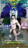 show performance en cdmx,edome foto 1