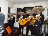 Mariachis Peruanos y Serenatas foto 1