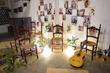 Espectáculo Flamenco Profesio foto 1