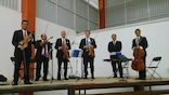 Violinistas profesionales conc foto 2