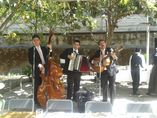 Trio en Guadalajara Los princi foto 1