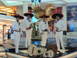Mariachi Voces De Mexico foto 2