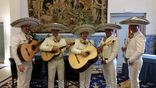 Mariachi Solis foto 1