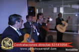 Trio Jarocho/Romantico foto 1