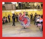SERENATAS ECONOMICAS EN LA CIU foto 2