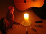 Lucky Rooster foto 1