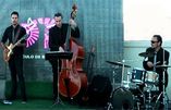 MOON JAZZ TRIO  foto 1