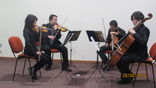 Cuarteto de cuerdas Fénix. foto 2