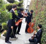 Violinista  foto 2