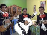MARIACHIS LOS TECOLOTES PIURA foto 2