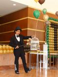 espectacular show del mago de oz foto 2