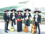 MARIACHI JALISCO  foto 2