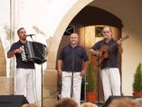 Cavall Bernat foto 2