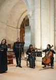 Agrupación Artem | Eva Ozáez foto 1