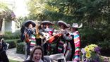 MARIACHIS A DOMICILIO EN FERRO foto 1