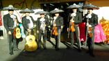 Mariachi Mi Tenampa De Veracruz foto 1