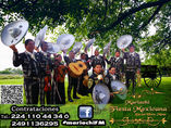 Mariachi Fiesta Mexicana De Lo foto 1