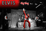 Elvis My Way - Tributo a Elvis foto 2