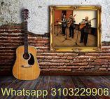 trios para serenatas en bogota foto 2
