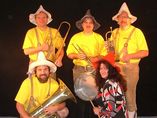 Partyband Dirndljäger foto 1