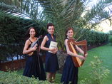 Alianzmusic. Música  bodas foto 1