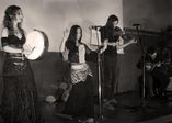 Moon Roots foto 1