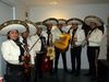 Mariachi profesional