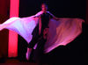 Fotos zu A silky fairytale - poetisch-seidige Tanzakrobatik 1