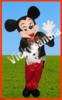 Alquiler disfraz mickey bob es
