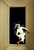 Fotos zu Minako Seki - Dancing Between 2