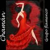 Grupo Chamán