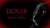 Fotos de Dunas (Tributo a Triana) 1