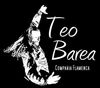Compañía Flamenca Teo Barea