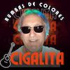 CIGALITA Flamenkiro Rumbas y S