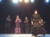 Fotos de FLAMENCO  1