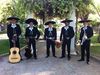 Mariachi Santacruz