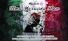 Mariachi Alma Mexicana Show