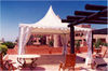Fiesta Carpa