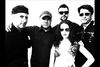 Soul System Band (Acid Jazz, disco, dance)
