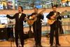 serenata trio en Bogota