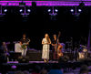 Bossanova Jazz Voz