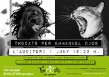 Twocats per Emmanuel Djob