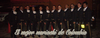 Mariachi Serenata de America