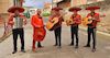 Fotos de Mariachis Domínguez En todo e 2