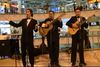 Trios para serenatas Bogota